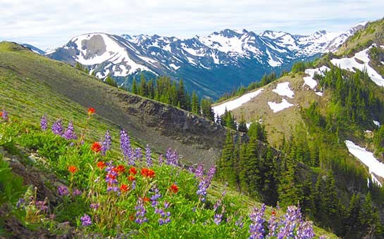 Olympic National Park Travel Insurance